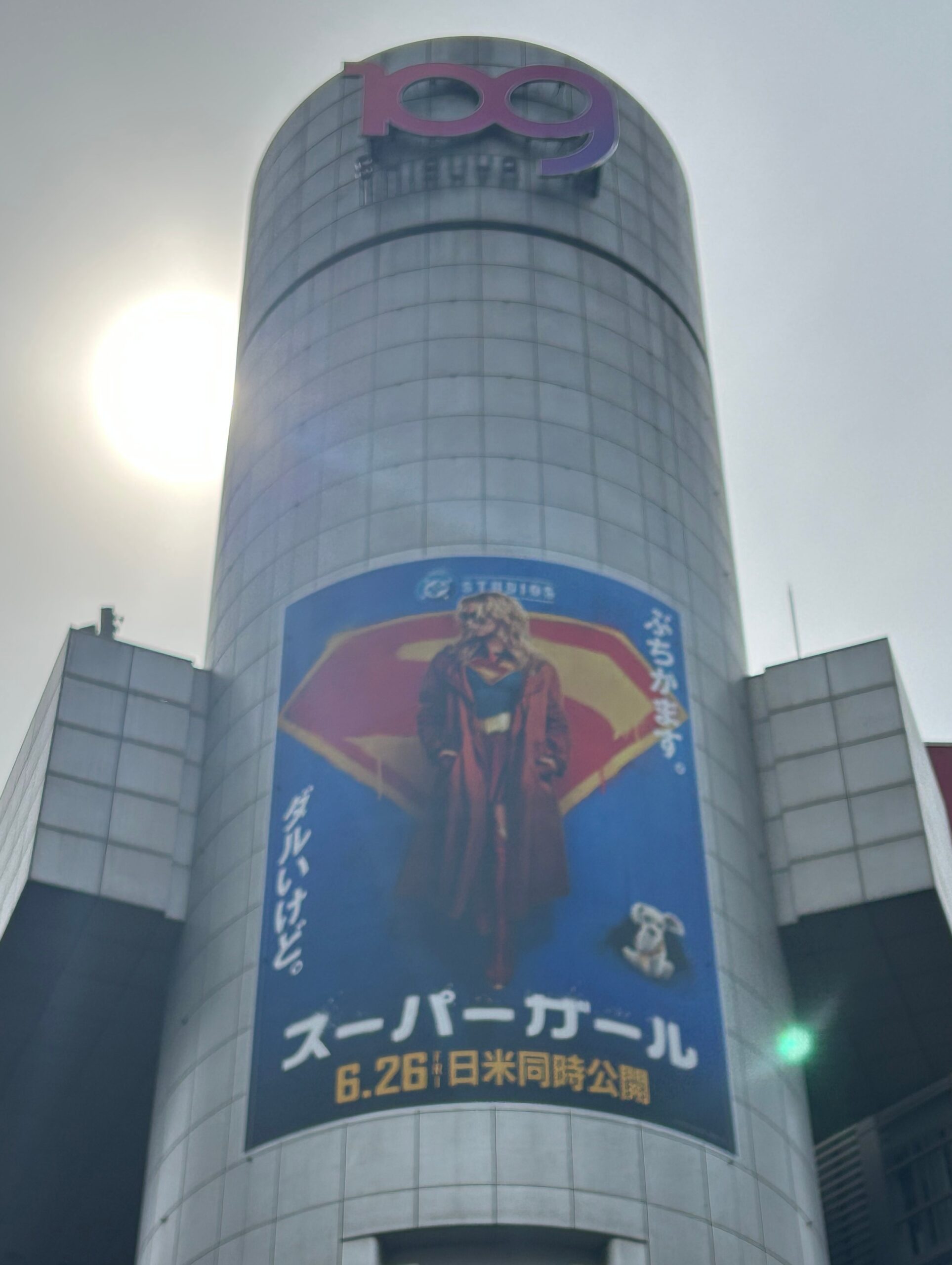 【2026-6】映画告知